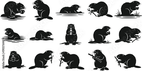 Beaver silhouette set, black rodent vector collection, isolated river animal icons for nature design illustration, dam builder, tail, wood, wildlife.