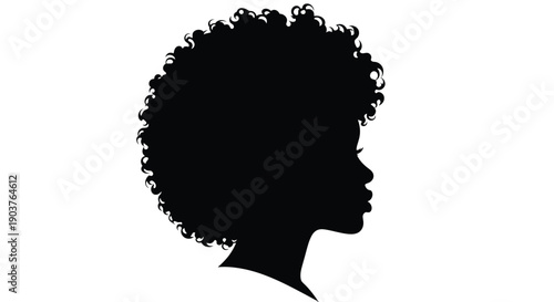 Profile view of a person with afro hair a striking silhouette