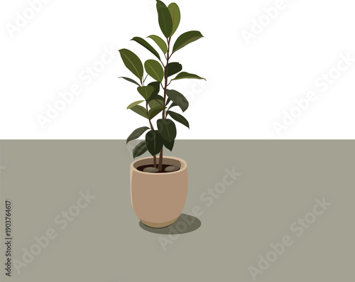 vector illustration of a houseplant in a pot