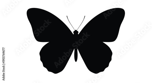 A striking black butterfly form against a white background silhouette