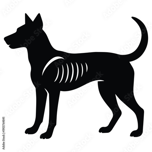Silhouette of a dog with visible skeletal structure, symbolizing health and anatomy