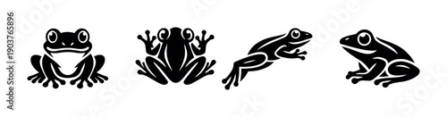 Set of four frogs in different poses, flat vector illustration