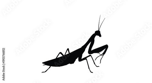 A striking black silhouette of a praying mantis in profile silhouette