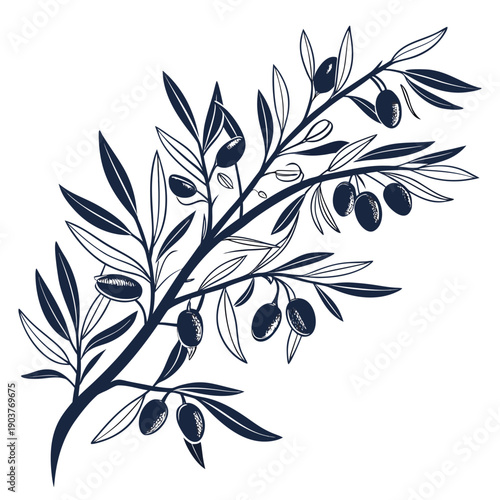 A detailed illustration of an olive branch with leaves and olives