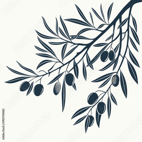 A detailed illustration of a branch with ripe olives and lush leaves.