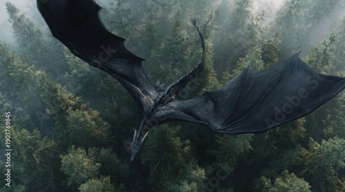 Great winged serpent soars high above fog enshrouded evergreen forest with dark shadows
