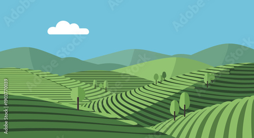 Vibrant green terraced hills with scattered trees under a clear blue sky and a single white cloud, depicting a serene agricultural landscape.