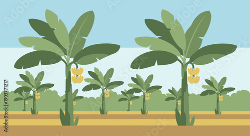 Illustration of a vibrant banana plantation with multiple green trees bearing yellow fruit under a clear blue sky.