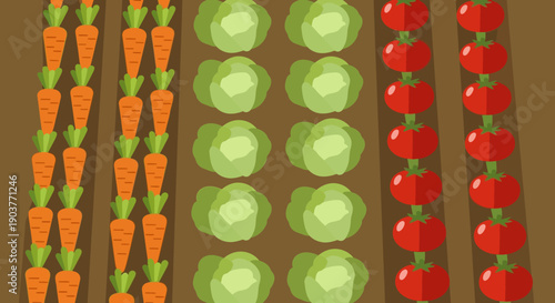 Overhead illustration of a vibrant vegetable garden with neat rows of fresh carrots, green cabbages, and red tomatoes.