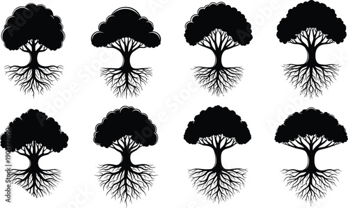 Set of black tree silhouettes with large root systems, vector illustration isolated on white background for logo, ecology, nature and genealogy design.