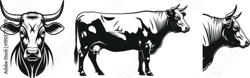 Set of cow vector illustrations, bull head silhouette, livestock farming animal, dairy cattle icons, black and white agriculture design elements, isolated on white.