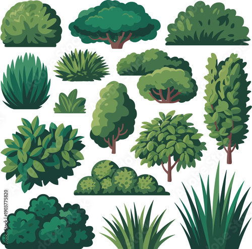 Collection of various green bushes and shrubs in different shapes and sizes vector on white background.