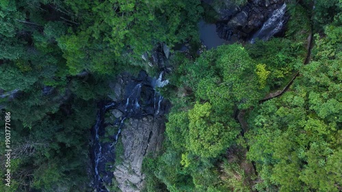 waterfall in the forest
