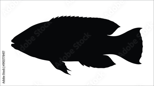 A striking black fish outline against a white background silhouette
