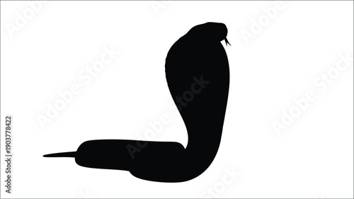 A striking cobra poised to strike a dramatic silhouette