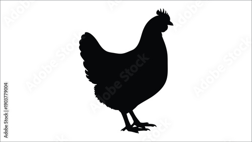 A black silhouette of a hen standing with detailed features silhouette