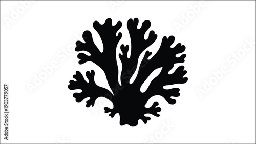 Intricate black coral formation against a white background silhouette