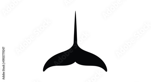 Black silhouette of a whale s tail fluke against a white background