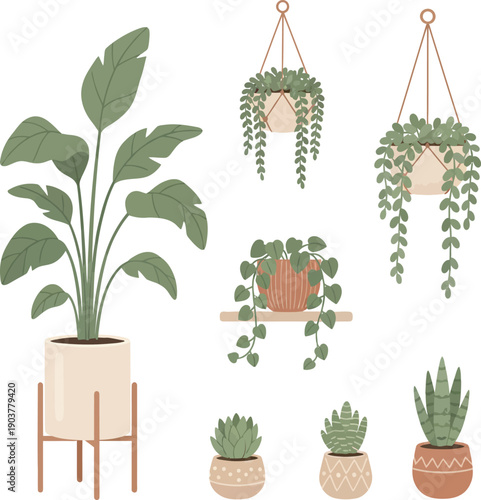 Indoor potted house plants collection, set of flowers, potted indoor houseplants collection, potted plants, potted plants set vector, vector illustration