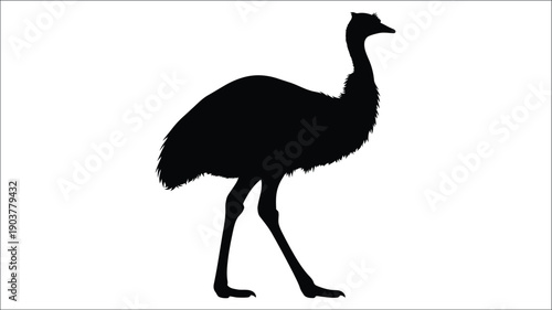 A striking black emu form against a white background silhouette