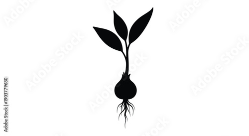 Simple silhouette of a sprouting plant with visible root system