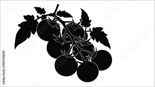 A cluster of ripe tomatoes on the vine depicted as a silhouette