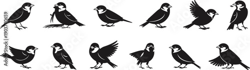 Small bird silhouettes collection sparrow chickadee tit songbird vector set flying standing perched wildlife illustration isolated design elements