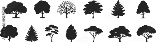 Tree silhouette collection various forest trees pine oak deciduous evergreen vector set nature illustration isolated black tree shapes