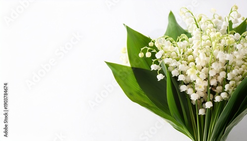 close up of a beautiful bouquet of white lilies of the valley on a white background