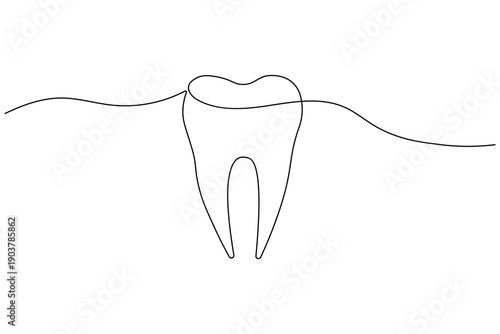Elegant single line art illustration of a human molar. This clean vector design represents dental health, professional tooth care, and modern stomatology.