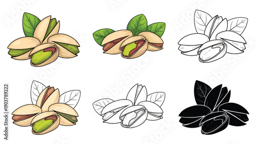 Collection of pistachio nut clusters shown in multiple styles including full color line art and solid black silhouette for versatile design use.