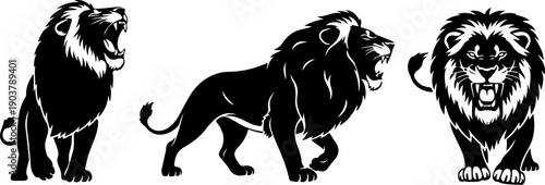 Three majestic lions standing and roaring, vector illustration, graphic design, wildlife scene depicted in a stylized 2D format