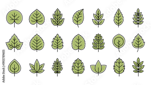 Collection of diverse green leaf icons in a simple line art style representing various tree and plant species for nature designs.