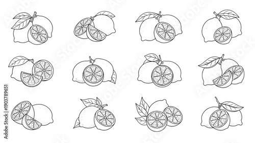 Set of detailed monochrome lemon sketches showing whole fruits and slices with leaves for citrus product branding and menus.