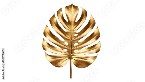 Golden monstera leaf on black background