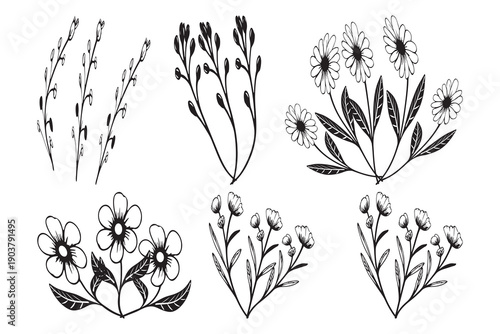 Set of black and white hand-drawn floral illustrations featuring wildflowers, leaves, and botanical elements in a minimalist line art style.