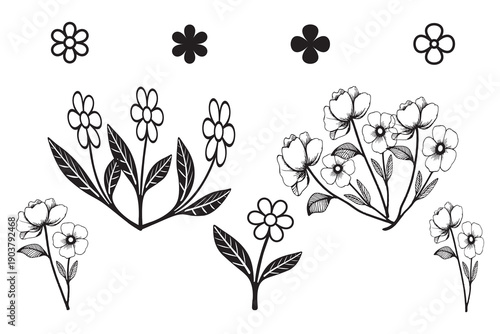 Set of black and white hand-drawn floral illustrations featuring wildflowers, leaves, and botanical elements in a minimalist line art style.