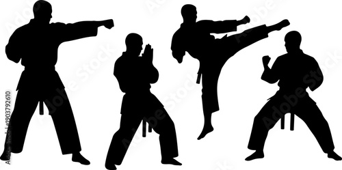 Martial artists in various poses and actions, showcasing combat techniques and stances in a dynamic vector illustration