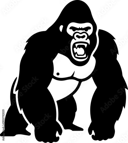 Vector illustration of a gorilla standing in a dominant posture, showcasing its muscular physique and aggressive facial expression from a frontal viewpoint.