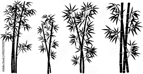Bamboo plants illustrated in various stages of growth, showcasing different heights and leaf arrangements in a minimalist vector style.