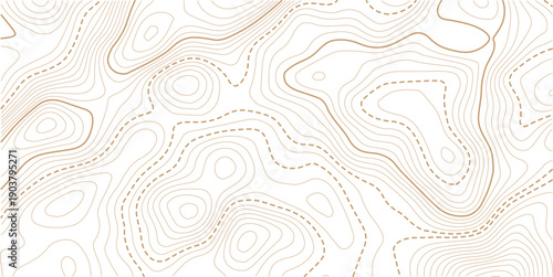 topographic line contour map background, Topographic map and landscape terrain texture grid, Abstract lines background.Contour line background graphic. Concept of simple geography and terrain.
