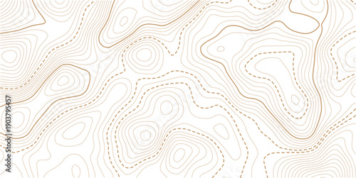 topographic line contour map background, Topographic map and landscape terrain texture grid, Abstract lines background.Contour line background graphic. Concept of simple geography and terrain.
