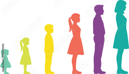 Colorful Silhouettes of People in Different Stages of Life From Childhood to Adulthood Isolated on White Background for Growth Concept