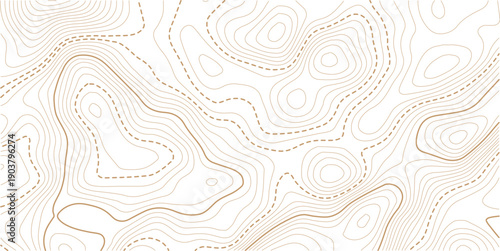 topographic line contour map background, Topographic map and landscape terrain texture grid, Abstract lines background.Contour line background graphic. Concept of simple geography and terrain.
