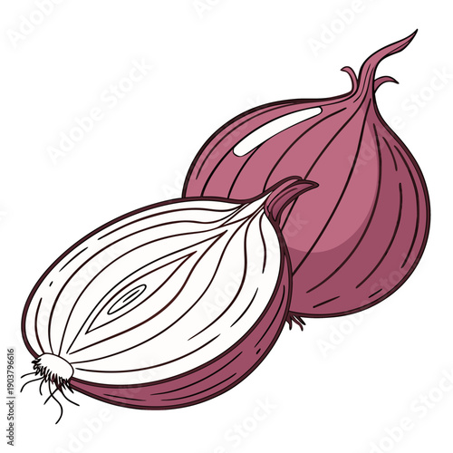 Red Onion Whole and Half Vector Illustration on Transparent Background