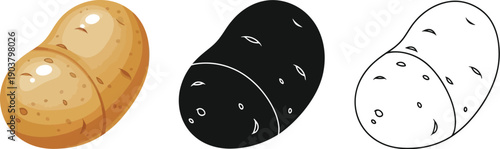 Three stylized representations of a common potato include color, silhouette, and outline drawing variations on a white background.