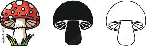 Detailed illustration of a red and white spotted toadstool mushroom growing in grass shown in color, solid, and line versions.