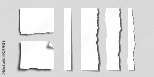 Collection of torn paper scraps and strips with rough edges and realistic shadows, isolated on a plain background