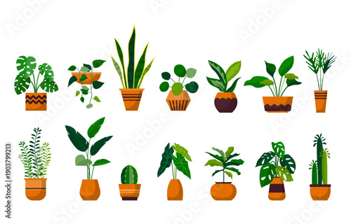 set of flowers and plants