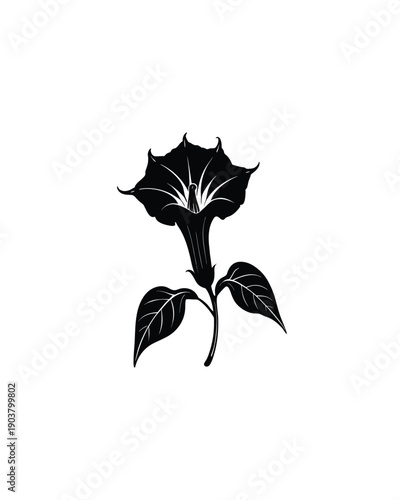 A black and white vector graphic illustration of a Datura flower